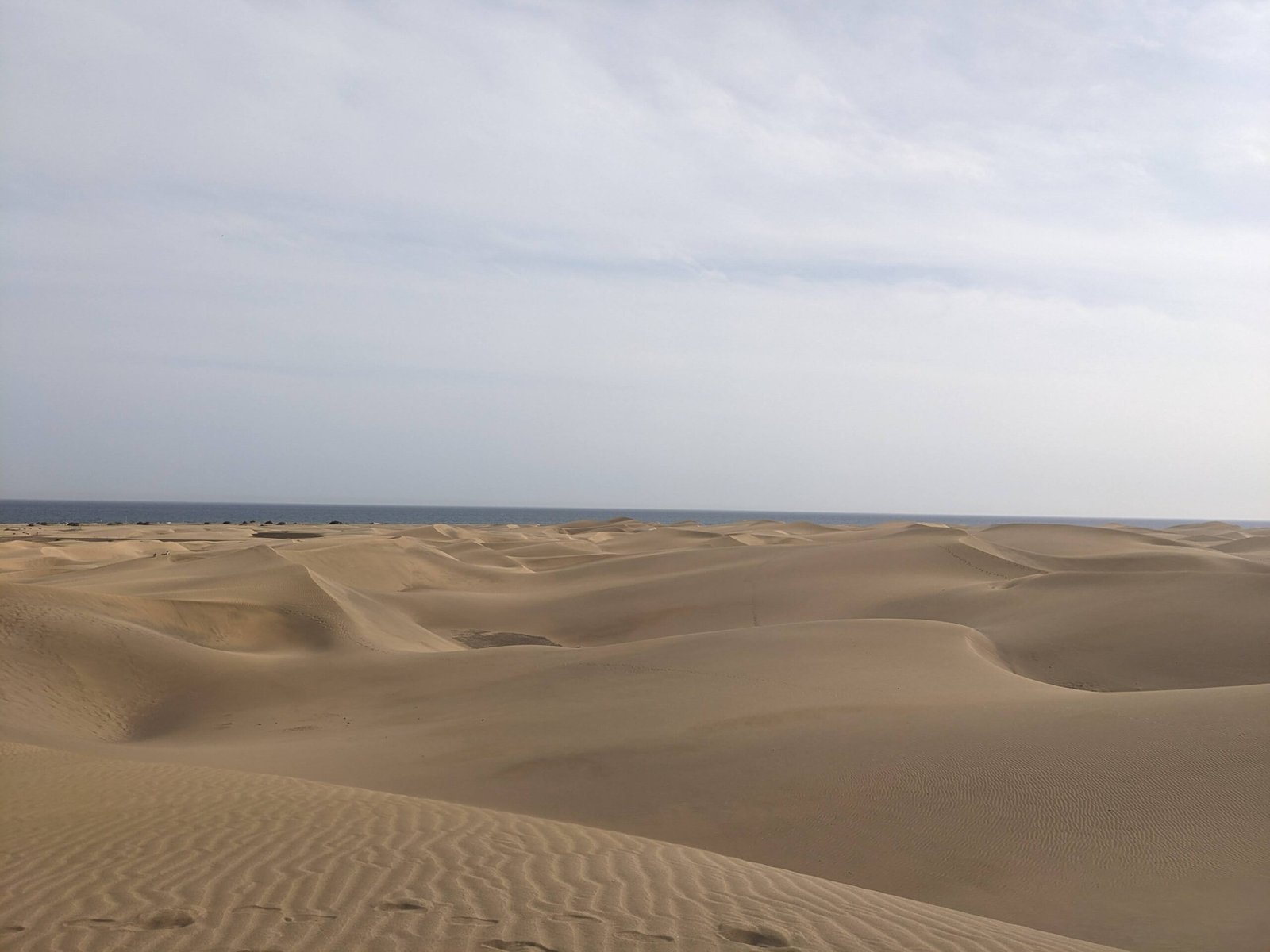 JCUM CANARIAS